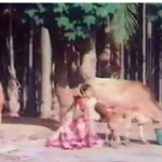 Naan Raja Veettu Lyrics — Puthu Vellam