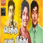 Petha manam Pithu Lyrics