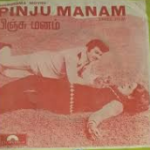 Pinju Manam Lyrics