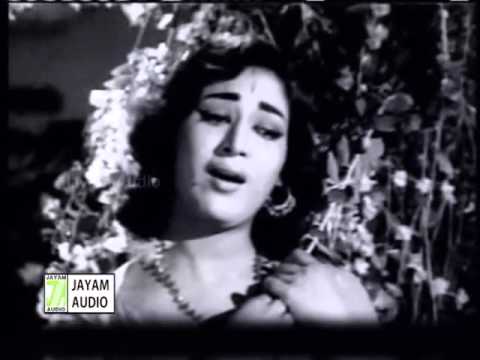 Velli Nila Vanathile