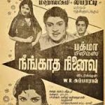 Neengatha Ninaivu
