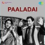 Appadi Enna Lyrics — Paaladai