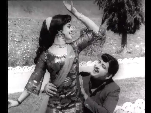 Thanga Surangam Song Lyrics