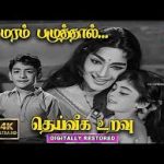 Maram Pazhuthal Song