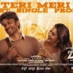 Teri Meri Lyrics — Zebra