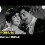 Naanathale Kannam Song
