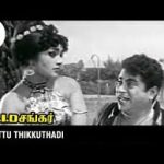 Paattu Thikkuthadi Song