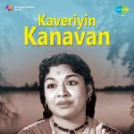Chinna Chinna Nadai Lyrics — Kaveriyin Kanavan