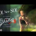Sol Nee Sol Song