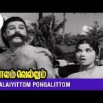 Maalaiyittom Pongalittom Song