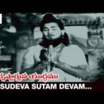 Vasudeva Sudham Lyrics — Sree Krishna Arjuna Yudham 