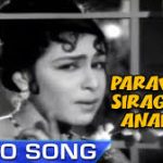 Paravaigal Siraginal Lyrics — Ninaivil Nindraval