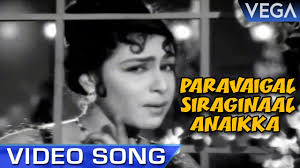 Paravaigal Siraginal Song