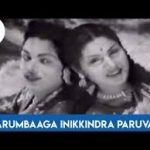 Karumbaga Inikindra Lyrics — Kongu Nattu Thangam