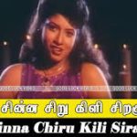 Chinnanjiru Kili Lyrics — Anbu Magan – 1995 Film