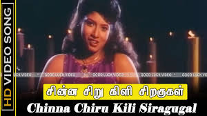 Chinnanjiru Kili Song Lyrics