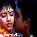Chittu Chittu Kuruvi Lyrics — Anbu Magan – 1995 Film