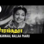 Kannaal Nallaa Lyrics — Sarangathara