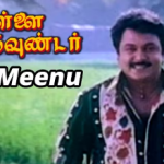 Aiyira Meenu Lyrics — Mappillai Gounder