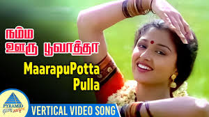 Maaraappu Potta Song