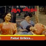 Pattai Urikkira Pachai Lyrics — Aadi Viradham