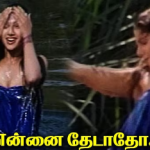Ennai Thedatho Odum Neerottam Lyrics — Raasi