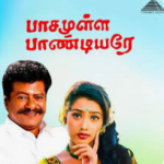 Pasamulla Pandiyare Lyrics