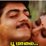 Poomalai Aagaamal Lyrics — Raasi