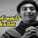 Thulli Varum Meengale Lyrics — Punitha Anthoniyar