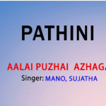 Aalapuzhaiyazhaga Lyrics — Paththini (1997)